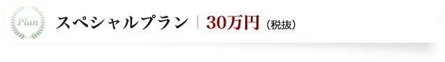 スペシャルプラン30万円（税抜）